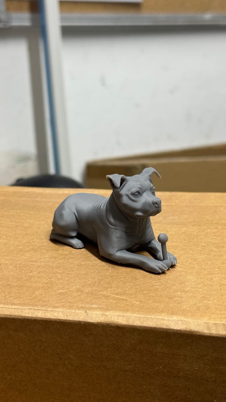 An unpainted resin print of a lying dog on a cardboard box