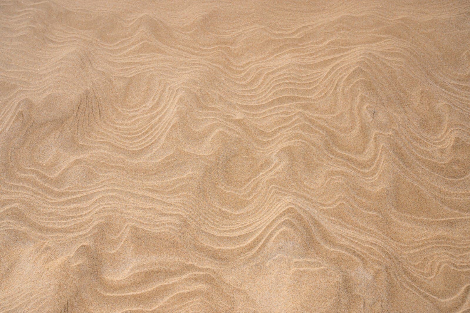 A rippled organic texture